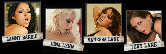 Lanny Barbie, Gina Lynn, Vanessa Lane, Tory Lane