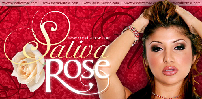 XXX Sativa Rose